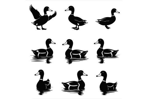 Black Duck Silhouettes in Various Poses: A Versatile Design Resource for Creatives and Makers