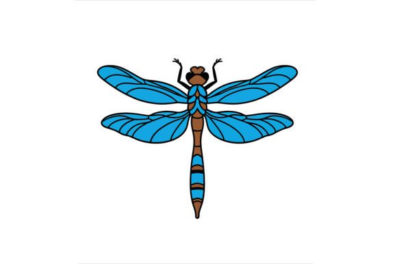 Illustration of a Dragonfly: A Versatile Design Asset for Modern Creatives