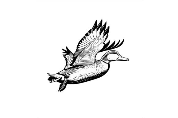 Illustration of a Duck: A Versatile Design Asset for Creative Projects